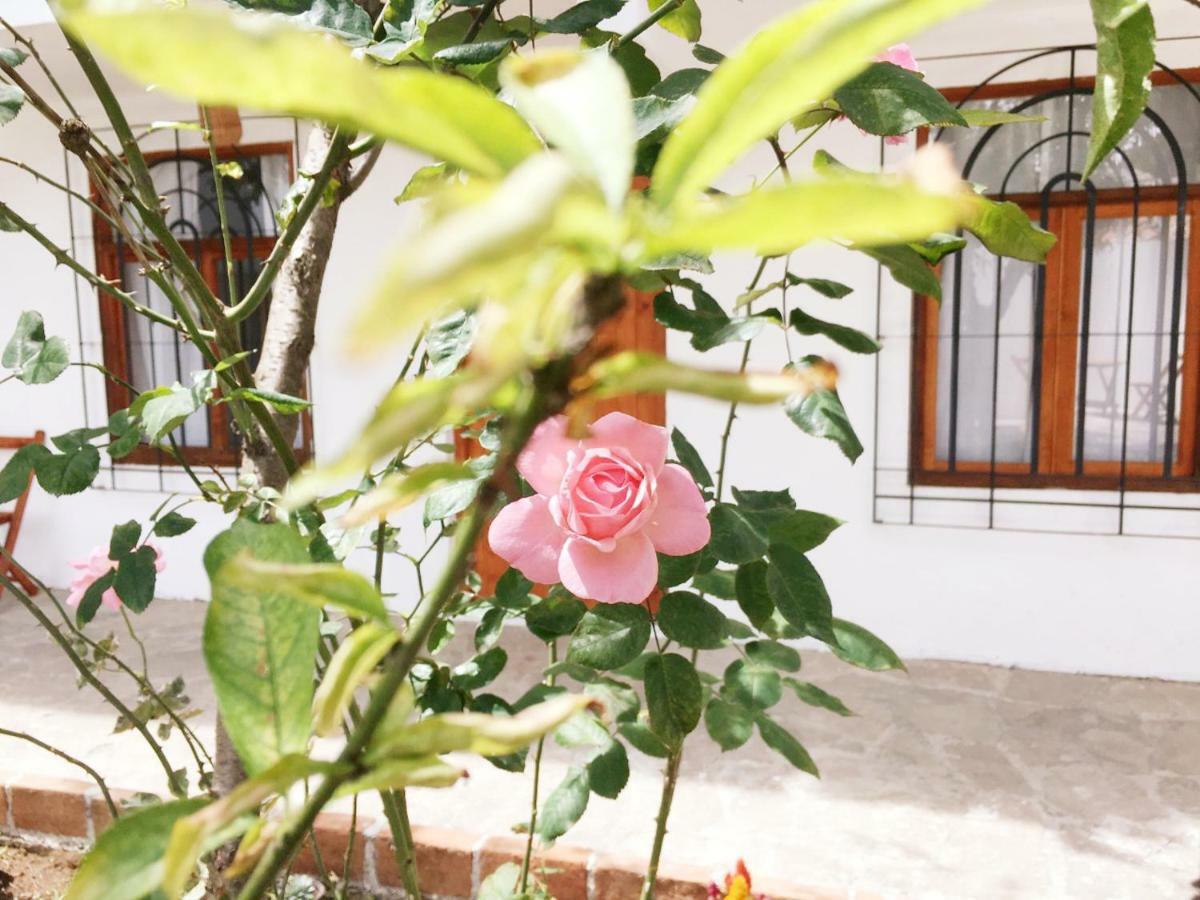 Kukul'Ik Studios & Workspace San Cristobal de las Casas Exterior photo